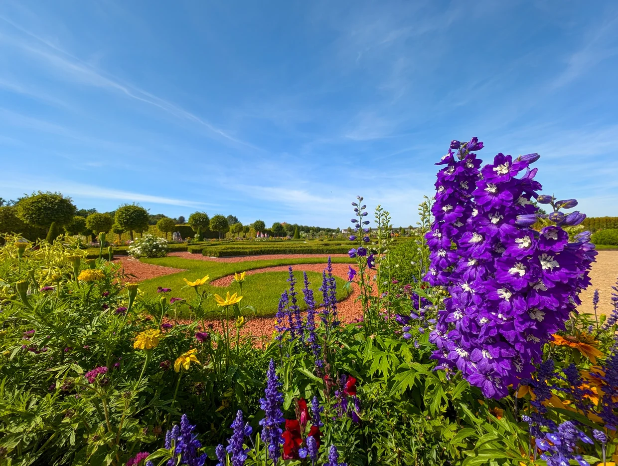 Rounded boxwood hedges and bright flowerbeds in the gardens