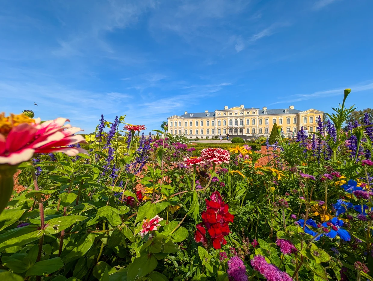Close-up of wildflowers with Rundāle Palace in the soft-focus background