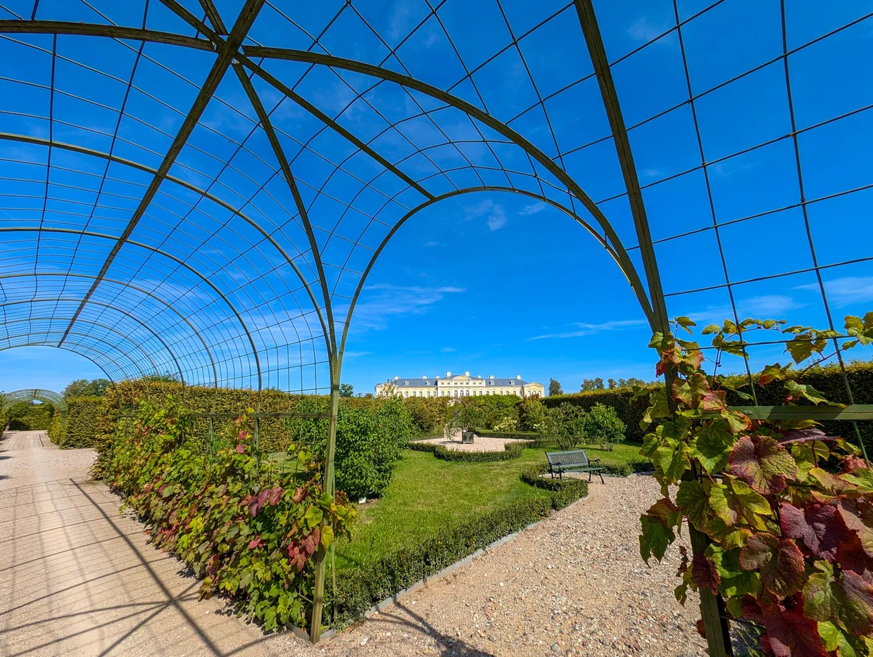 Looking through an arched pergola tunnel with vines toward Rundāle Palace