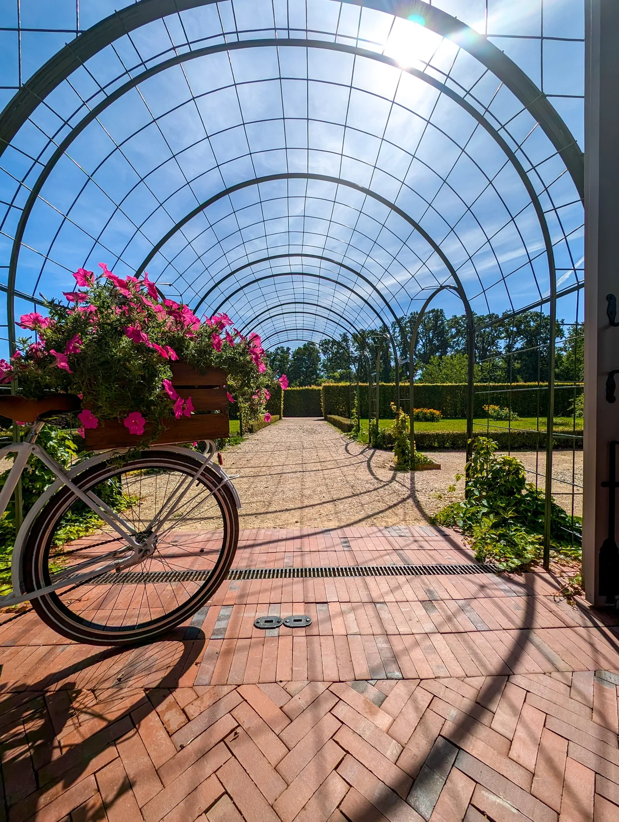 A white bicycle with pink flowers in a basket parked under a steel pergola