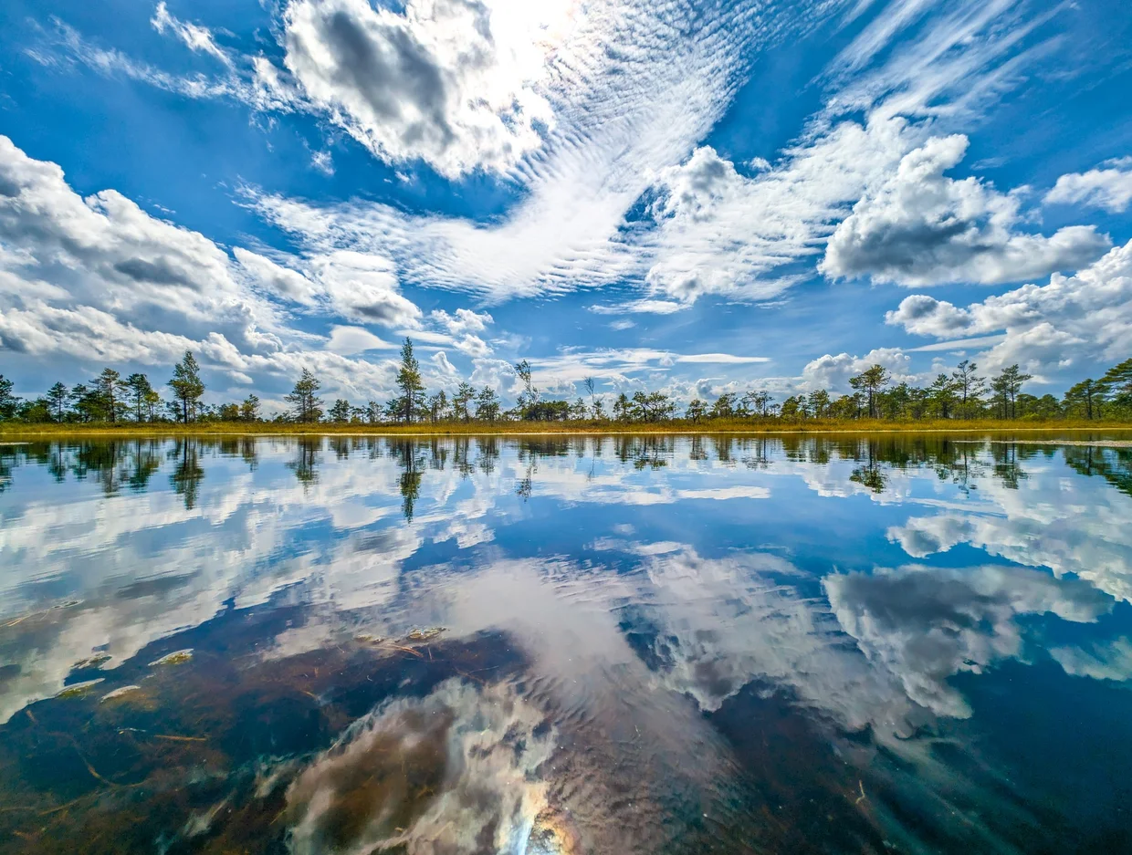 Mirror-calm bog lake reflecting clouds in Ķemeri National Park