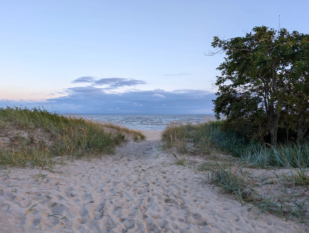 Sandy path through dunes opening onto Pärnu Beach at dusk