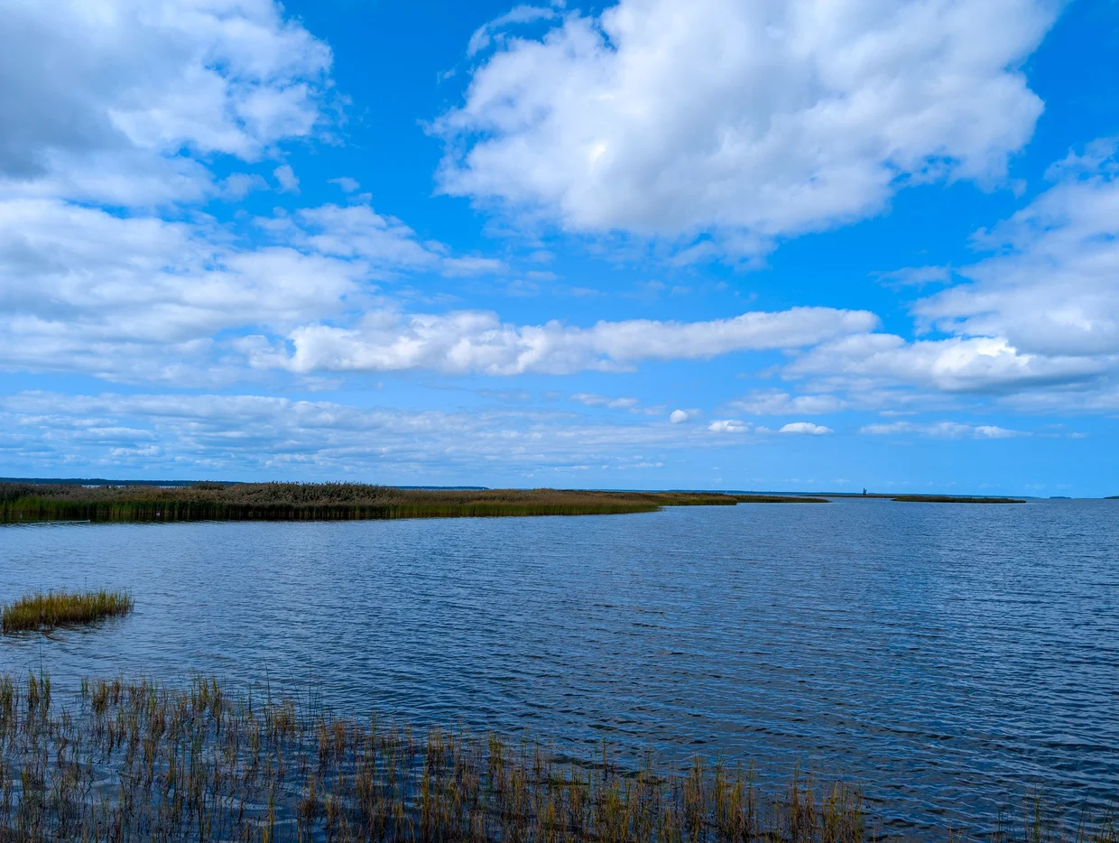 Reedy lake or estuary in western Estonia with open sky