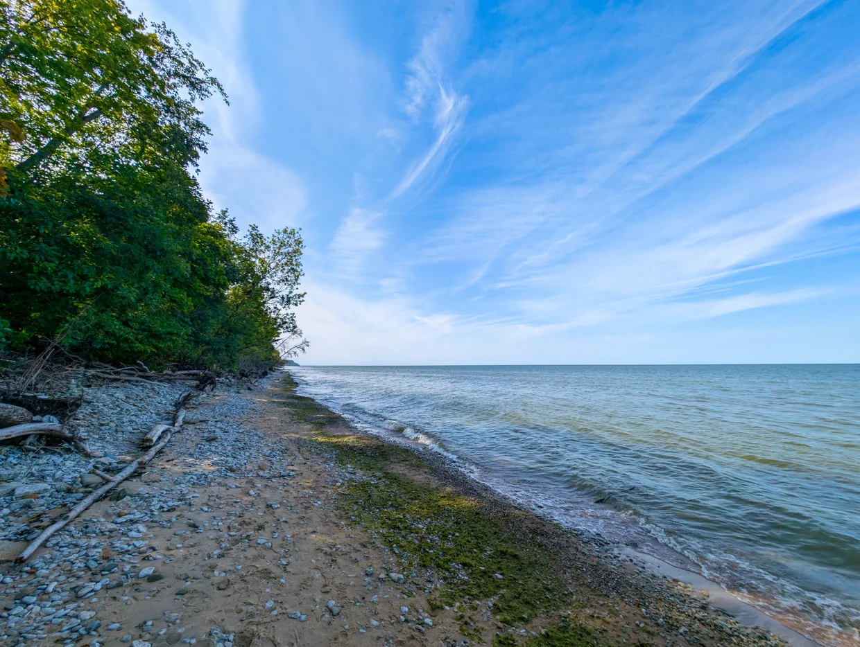 Stony beach with the Baltic Sea stretching to the horizon and a forested shore