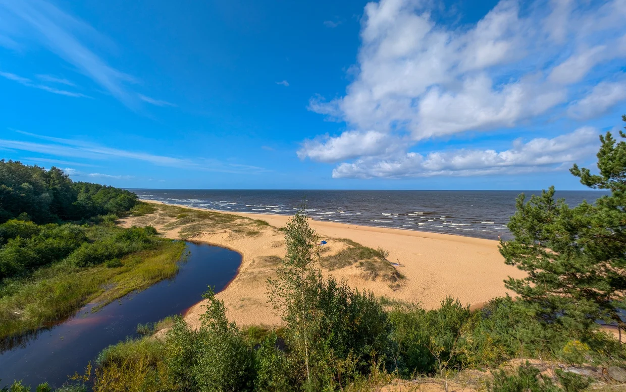 Wide sandy beach on the Latvian coast with pine trees and dunes