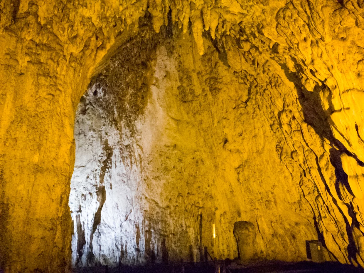 Cave interior with stalactites illuminated in golden light