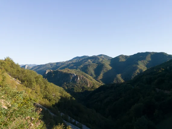 Forested ridges of the Dinaric Alps stretching into the distance