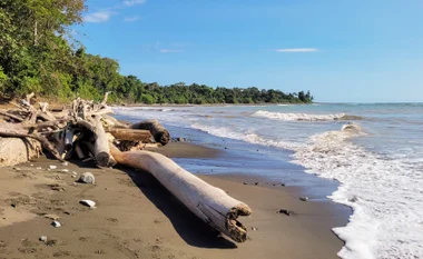 Corcovado National Park