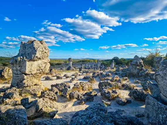 The Stone Forest stretching across the sandy landscape