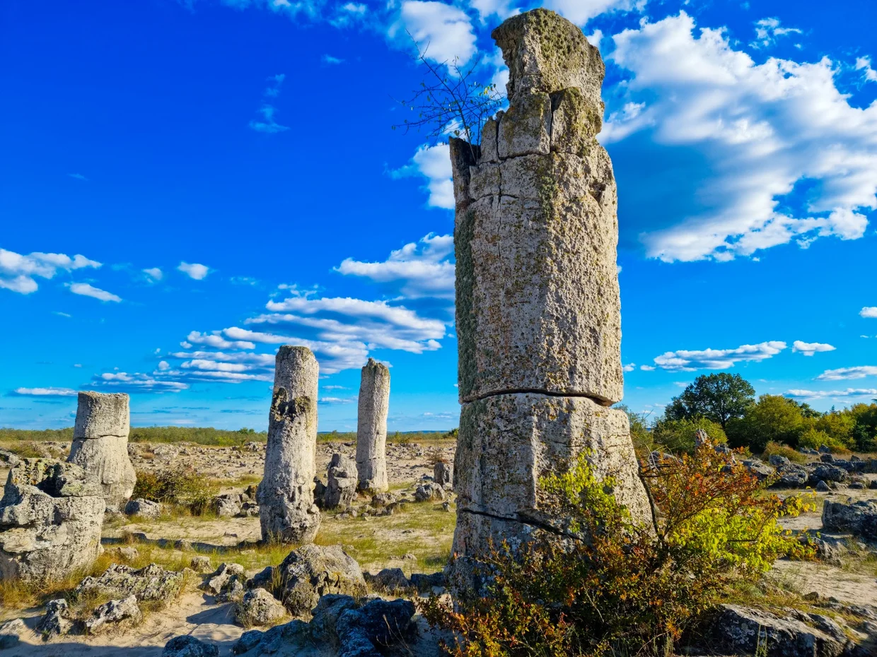Pobiti Kamani (Stone Forest)