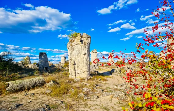 Stone pillar framed by autumn berries