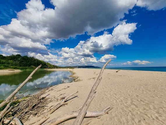 Driftwood-lined beach with a calm lagoon behind it