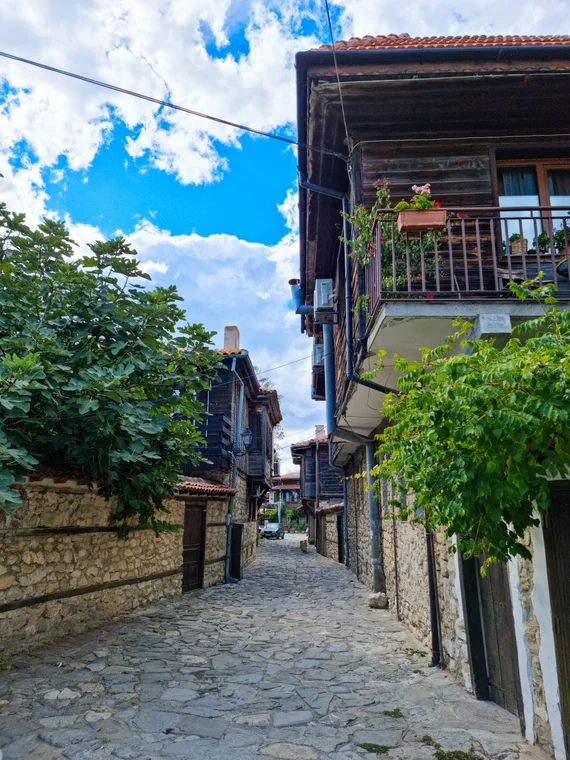 Cobblestone street lined with traditional houses