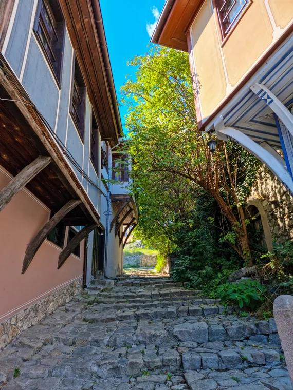 Narrow cobblestone alley between Revival houses