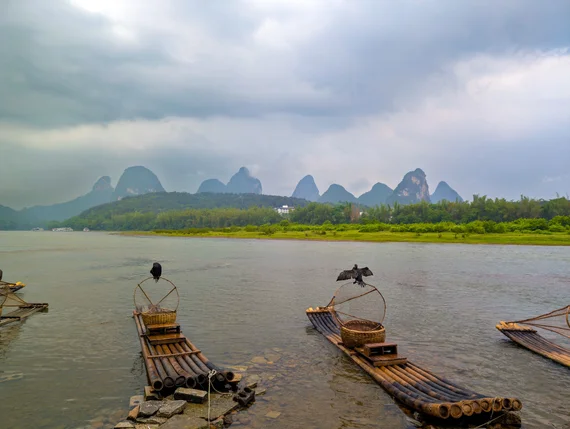 Cormorant fishing rafts on the Li River with karst peaks in the background