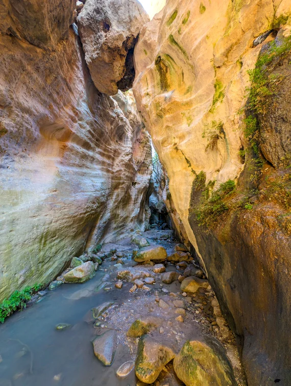Sculpted water-eroded rock walls with swirling patterns and moss