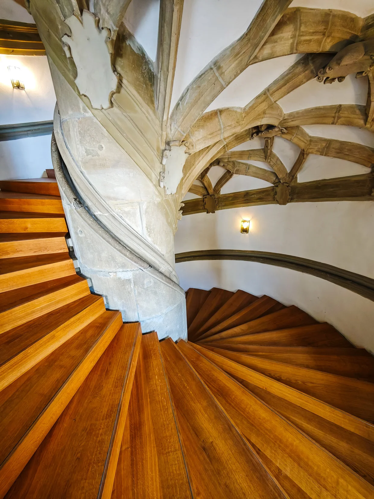 The Gothic spiral wooden staircase with ribbed vault