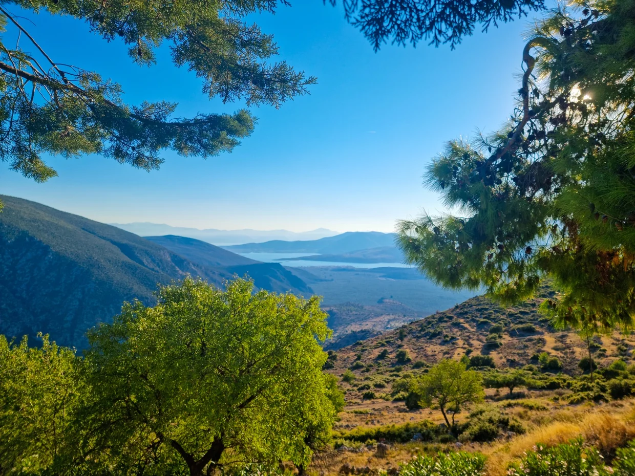 View from Delphi down through olive groves toward the Gulf of Corinth