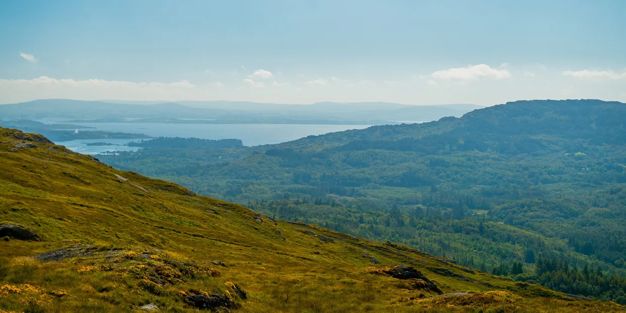 Hilly green landscape overlooking a wide lake and forested valleys