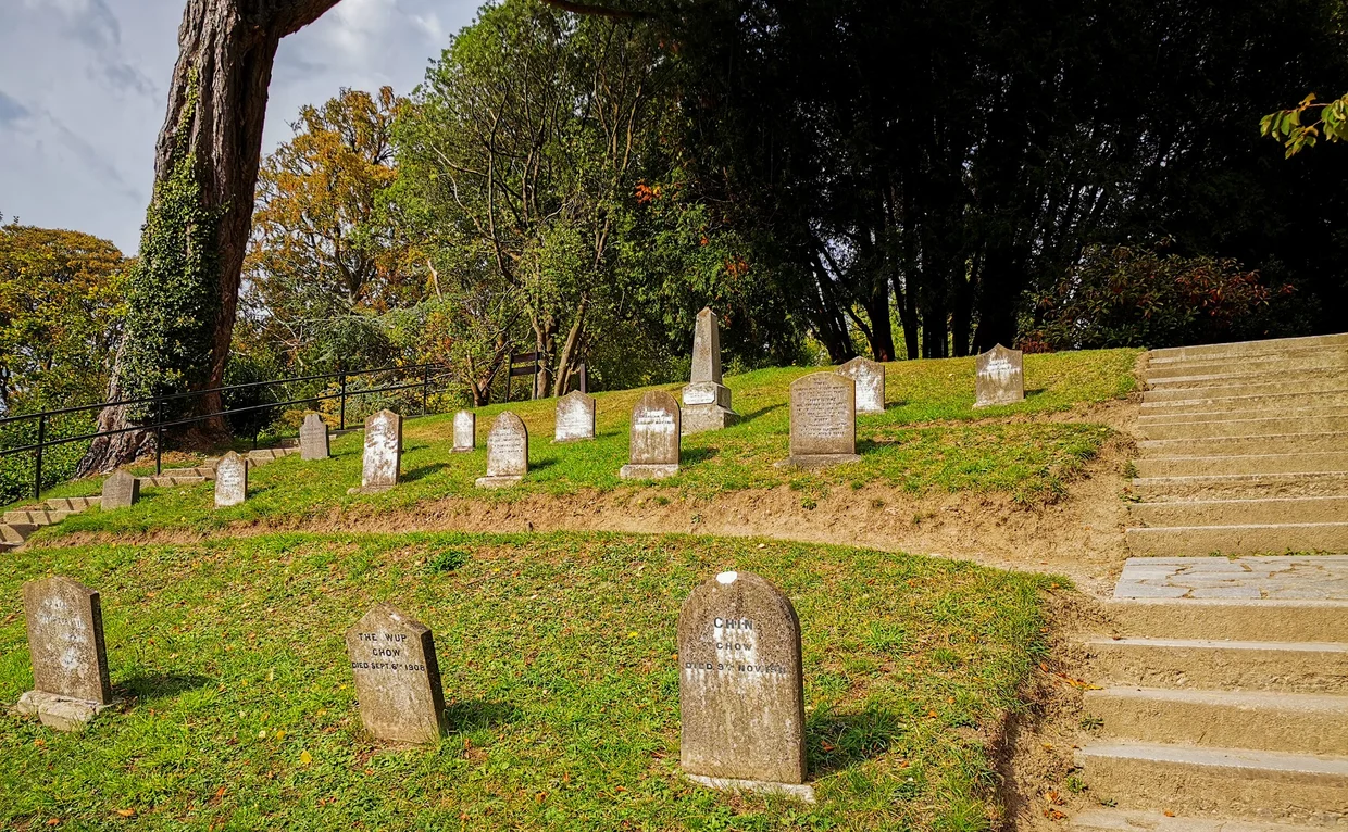 Pet cemetery on a green hillside with small headstones scattered among the grass
