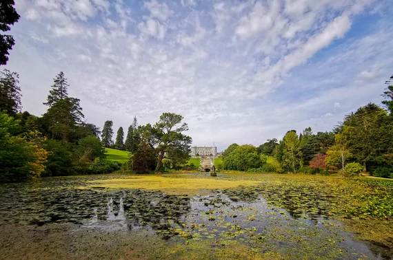 Lake with lily pads and a mansion visible through the trees
