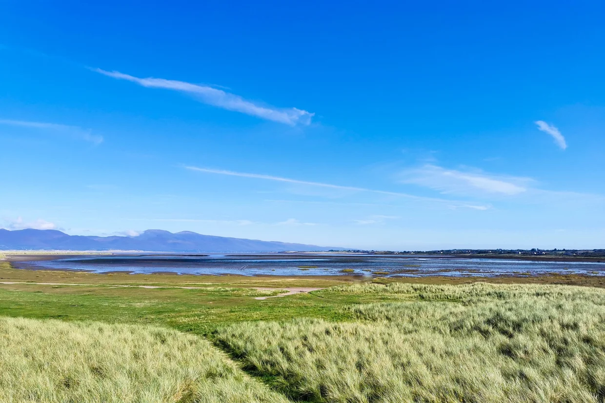 Green tidal marshland with mountains in the distance under a wide blue sky