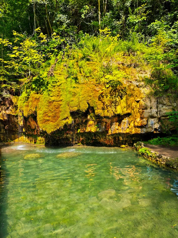 emerald pool under mossy rock