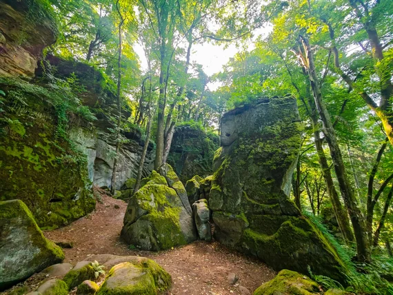 mossy boulder path