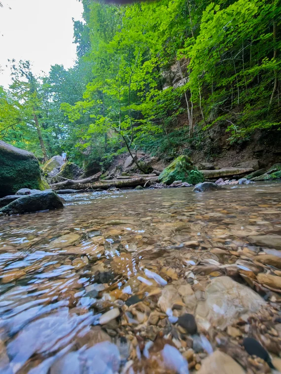 low-angle creek view
