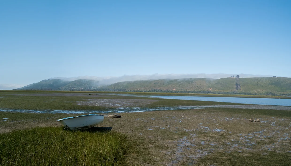 Low tide at Knysna with the lagoon drained to mudflats and the hills wrapped in morning mist
