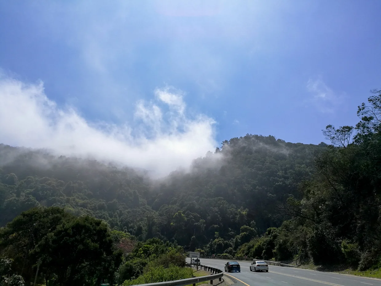 A mountain road with mist and clouds rolling over forested hillsides on the Outeniqua Pass