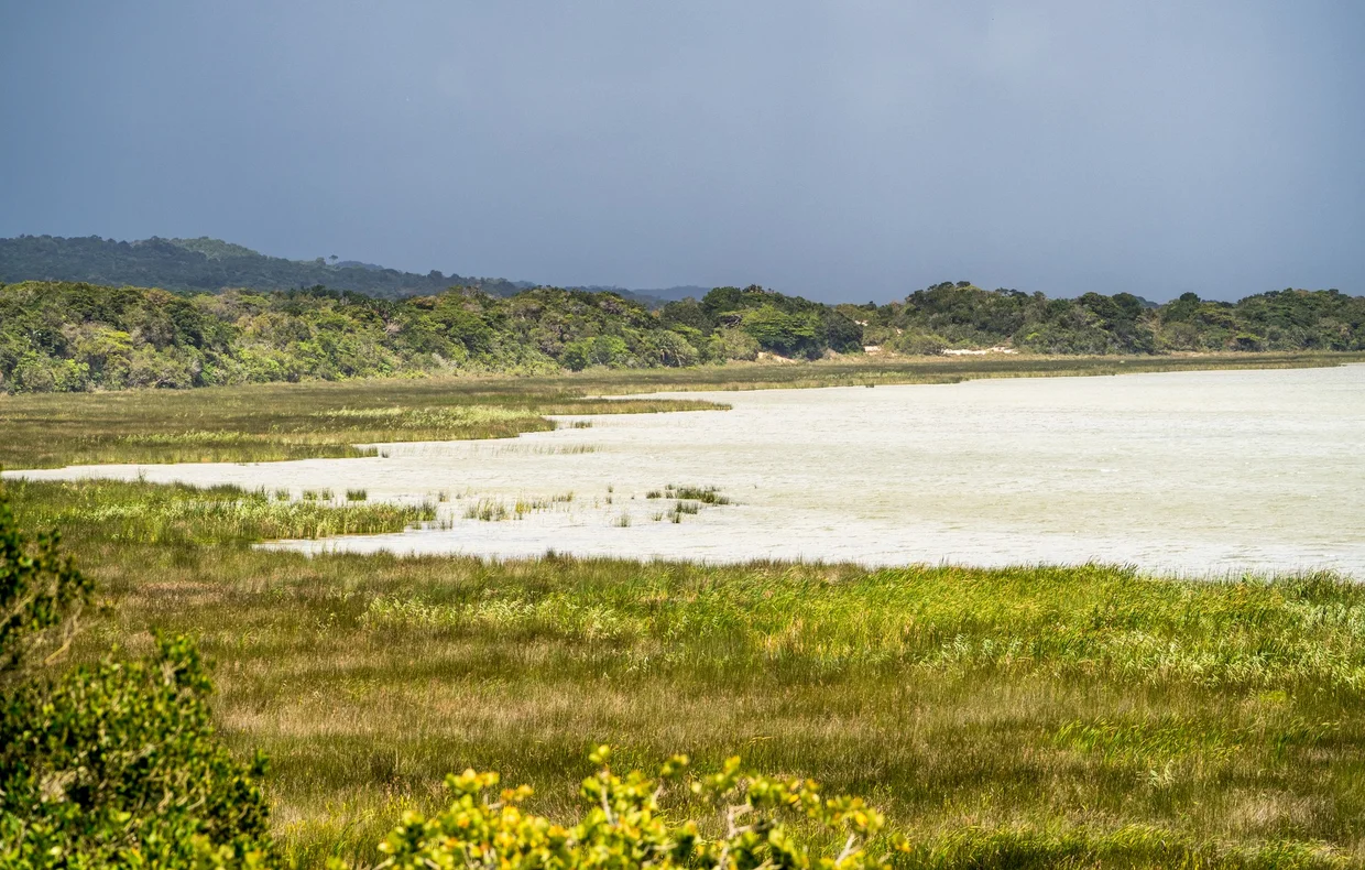 Wetland lake with green vegetation and forested hills at iSimangaliso
