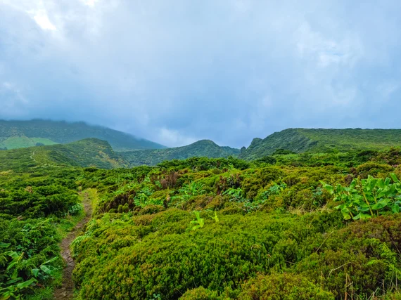 Narrow hiking trail through dense green highland vegetation under overcast sky