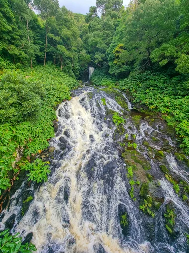 Rushing water flowing over rocks surrounded by dense green vegetation