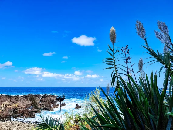 Volcanic landscape in the Azores