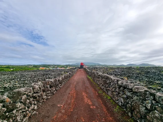 Lava stone vineyard walls on Pico