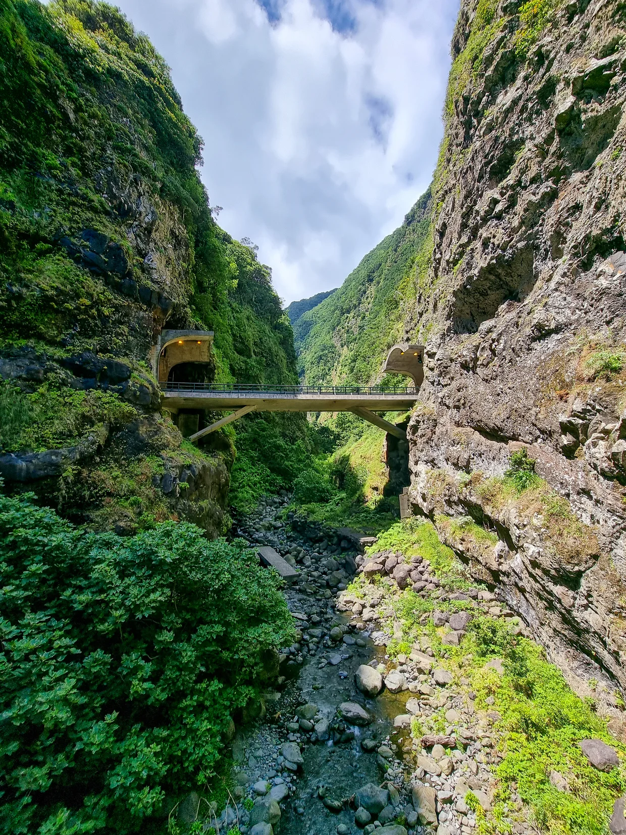 Deep gorge with a bridge spanning across, lush vegetation clinging to vertical walls