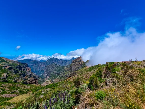Mountain peaks with purple wildflowers, clouds rolling across the ridges