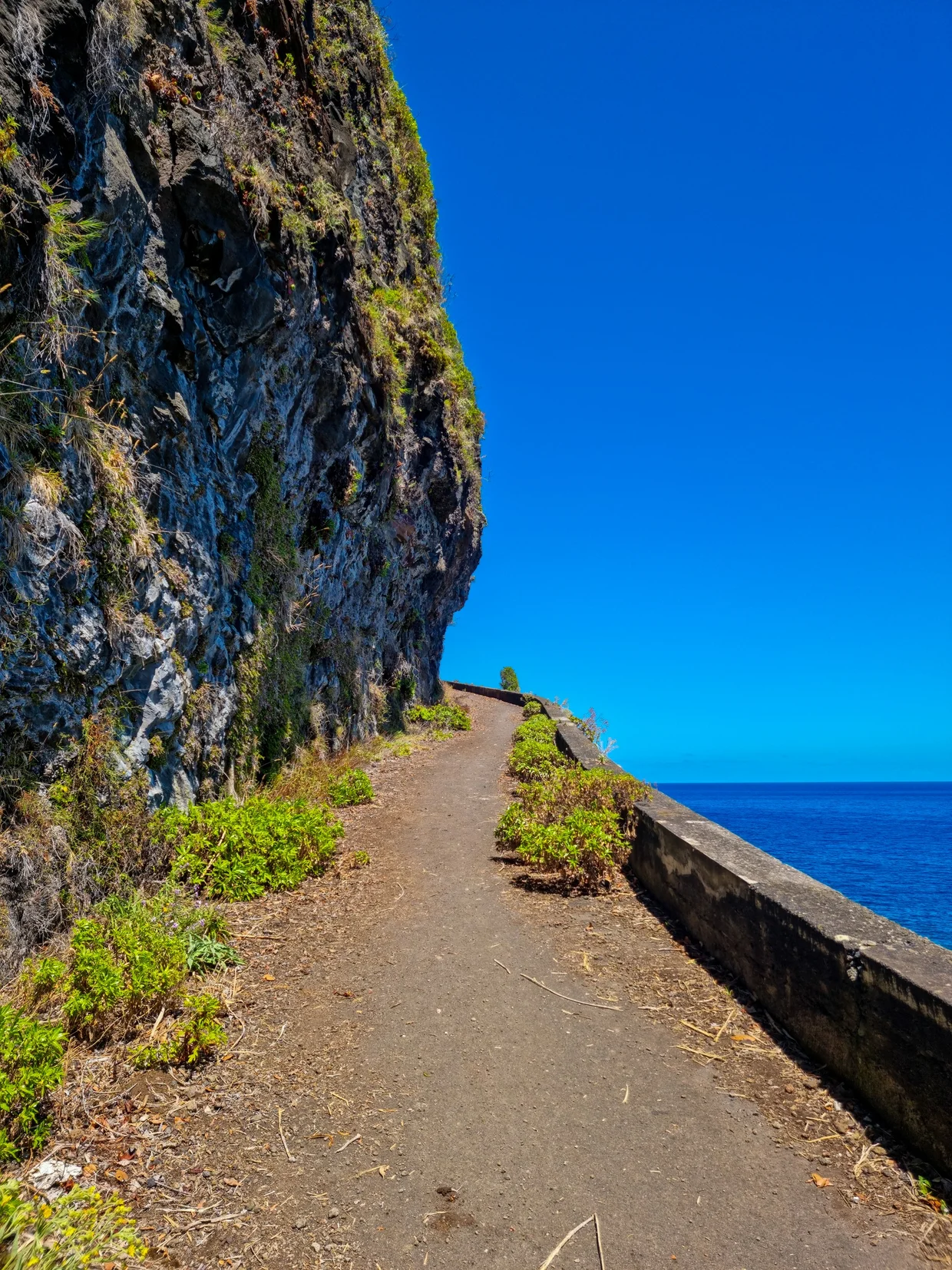 Levada path carved into the cliff face, ocean stretching out to the horizon