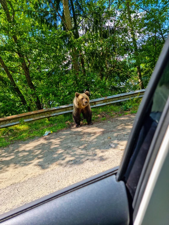 Romania