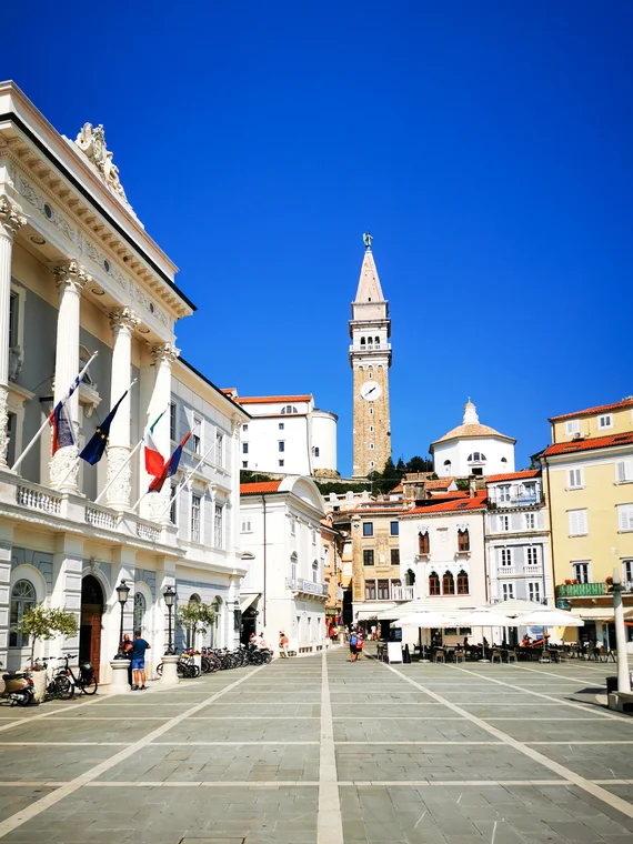 Vertical square scene with historic facades and bell tower