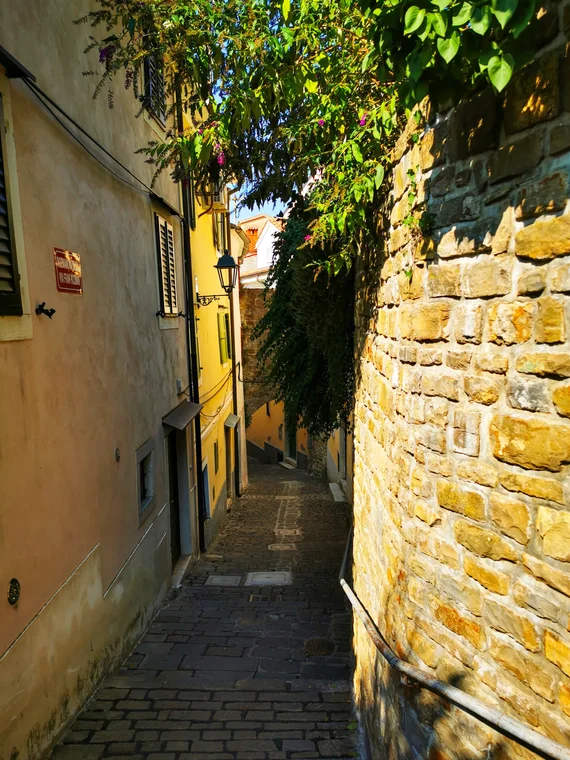 Narrow stone alley with hanging greenery