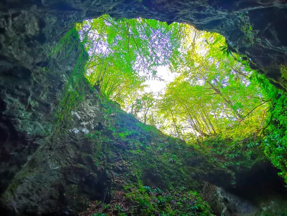 Wide cave sinkhole with bright green trees above