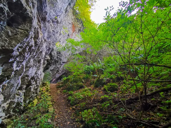 Rocky cave path with greenery