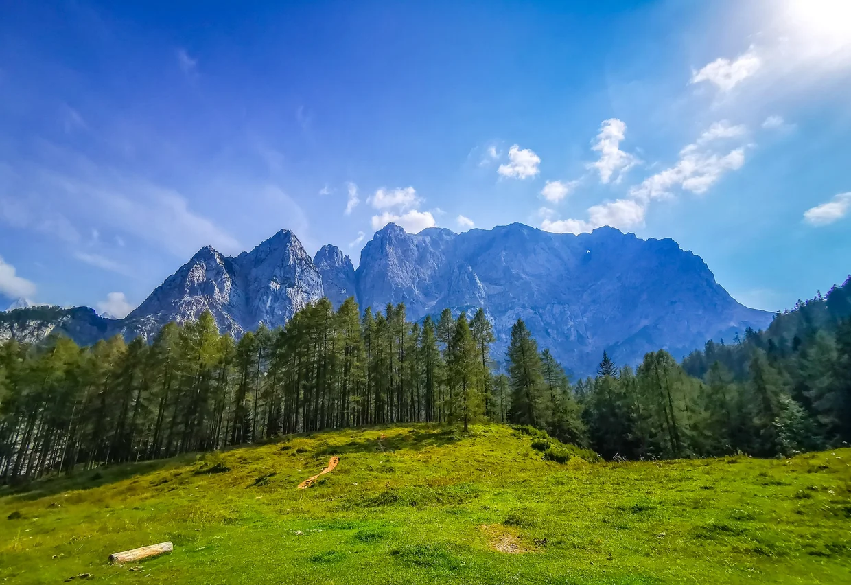 Julian Alps panorama: green meadow in the foreground, jagged peaks against a clear sky