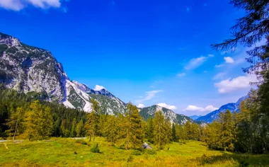 Alpine meadow and mountains in the Julian Alps