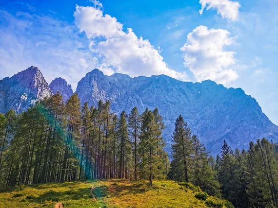 Mountain ridge with trees in the foreground