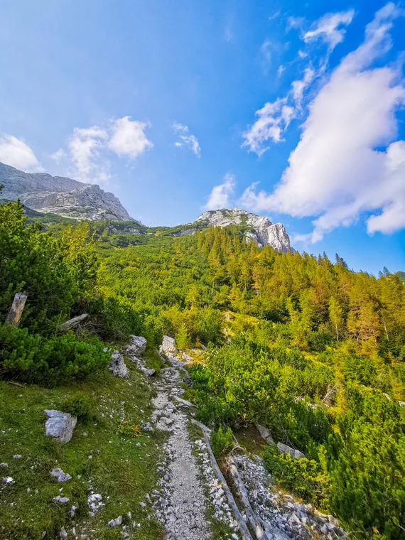 Mountain trail leading into a valley, portrait format