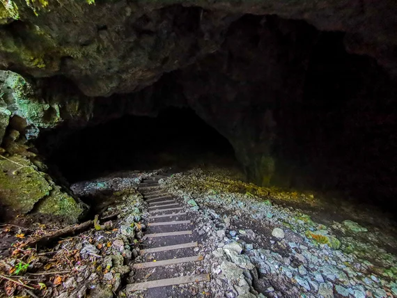 Stone steps leading into a cave entrance