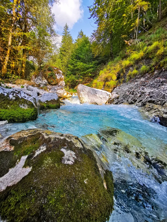 Portrait view of the turquoise Soča stream and a boulder